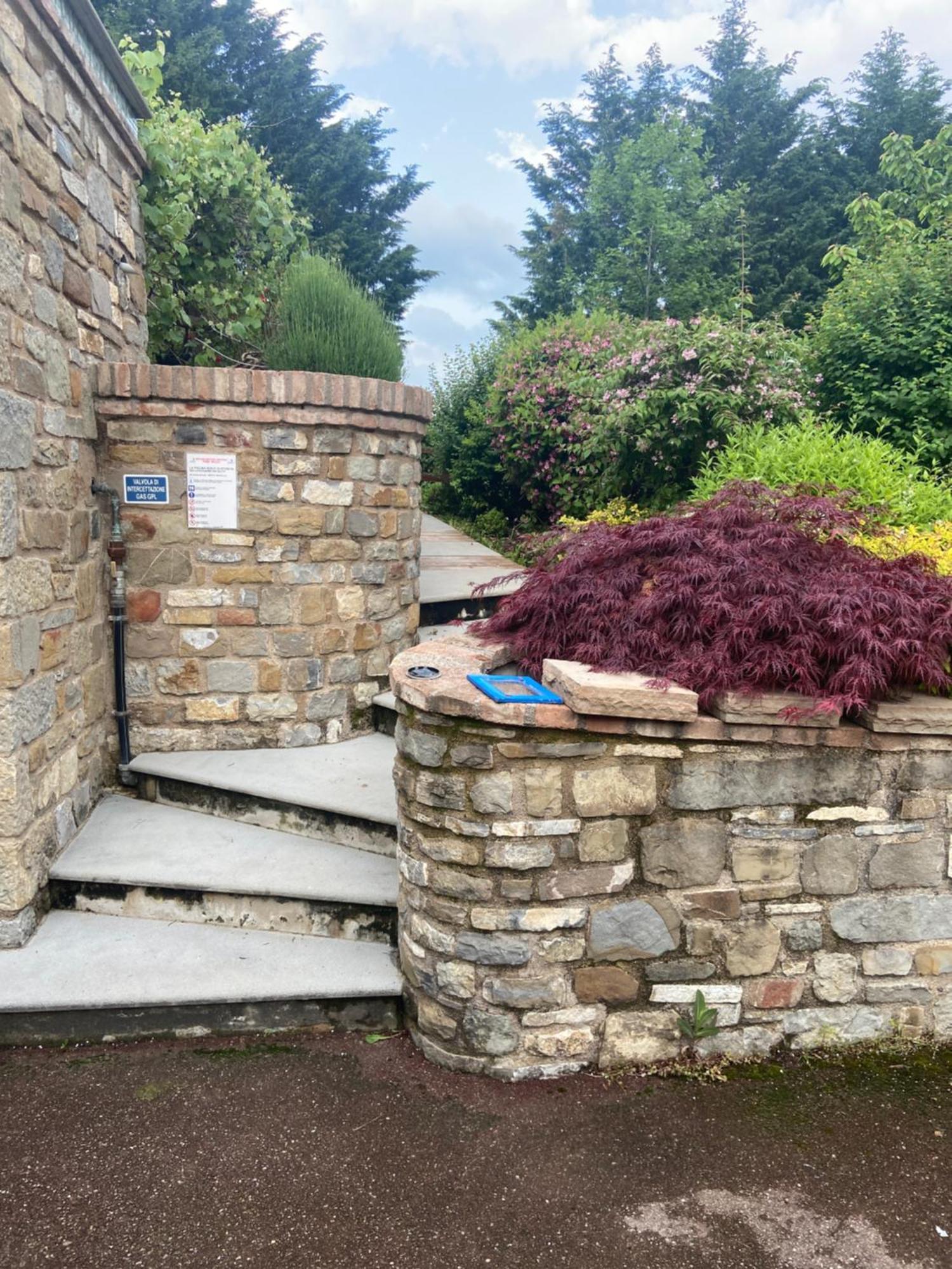 パヴッロ・ネル・フリニャーノ Agriturismo I Tassoniヴィラ エクステリア 写真