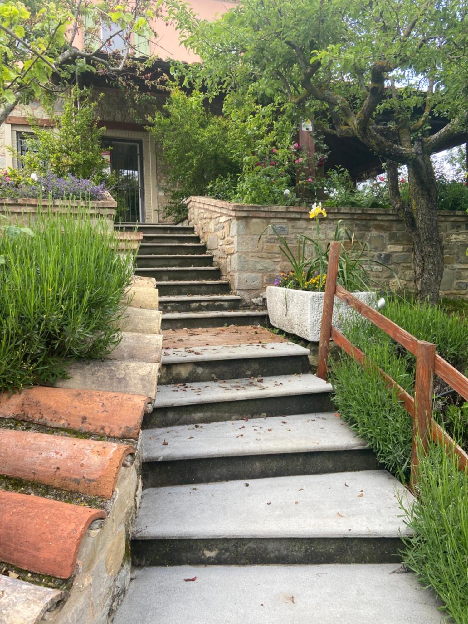 パヴッロ・ネル・フリニャーノ Agriturismo I Tassoniヴィラ エクステリア 写真